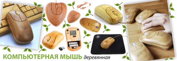 eco_gadget_mouse_594.jpg